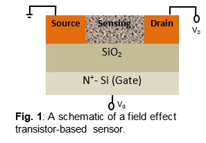 Agarwal_Transistor_Based_Sensor